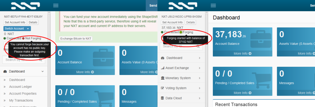 استخراج ارز NXT