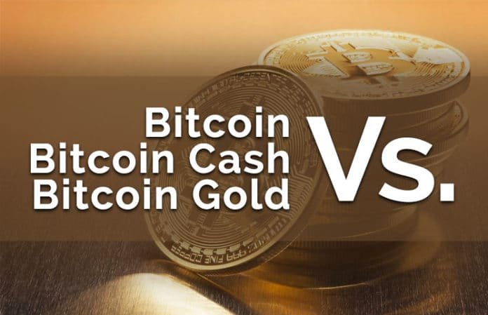 بیت کوین و بیت کوین کش و بیت کوین گولد