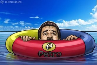 petro succussful petro 2