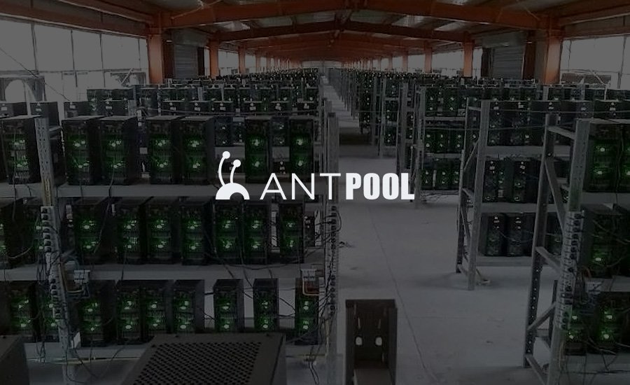 فی تراکنش های بیت کوین کش در Antpool به چه موردی تخصیص می یابد؟