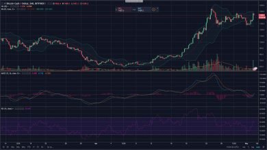 نوسانات جالب بازار رمزارز ها (بیت کوین و بیت کوین کش) با شروع ماه مه crypto market analysis 5 14, مرداد 1405 شاخص های تکنیکال بیتکوین کش ( BCH / USD)