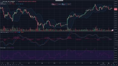 نوسانات جالب بازار رمزارز ها (بیت کوین و بیت کوین کش) با شروع ماه مه crypto market analysis 6 14, مرداد 1405 شاخص های تکنیکال رمزارز بیت کوین (BTC / USD)