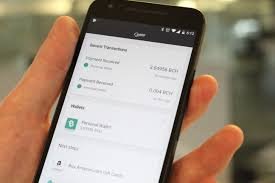 آخرین انشعاب بیت کوین کش و تغییرات آتی