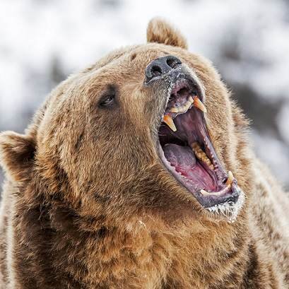 تحلیل وضعیت رمزارز ها: ادامه بازار خرسی و عدم قطعیت در مبادله markets update bear market adds cryptocurrency trading uncertainty 26, مرداد 1405 تحلیل وضعیت رمزارز ها: ادامه بازار خرسی و عدم قطعیت در مبادله