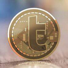 turcoin turned out ponzi 2