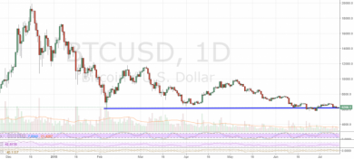 coinbase new listings and btc support