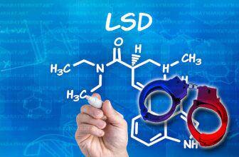 e4.5m crypto seized from lsd market 3