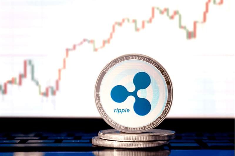رشد حجم و قیمت ریپل ( XRP )، پیروز بزرگ در میدان بازار نزولی