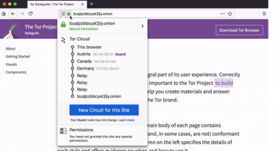 مروری بر مرورگر جدید Tor ، دارک وب (Dark web) و دیپ وب (Deep web) tor 8 dark web and deep web explained 1 19, شهریور 1405 dark web
