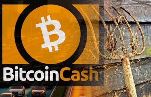 درمورد بلاک چین های نوظهور و رقیب بیت کوین کش چه می دانیم؟ what we know about bitcoin cashs two 15, مرداد 1405 درمورد بلاک چین های نوظهور و رقیب بیت کوین کش چه می دانیم؟
