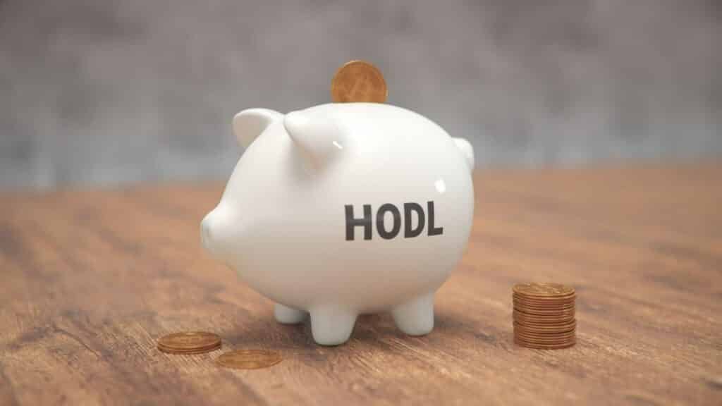 هودل (HODL) کردن چیست؟ امنترین استراتژی سرمایهگذاری بلندمدت! 2 28, شهریور 1405 هودل (HODL) کردن چیست؟ امنترین استراتژی سرمایهگذاری بلندمدت!
