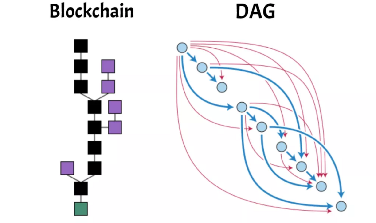 Directed Acyclic Graphs
