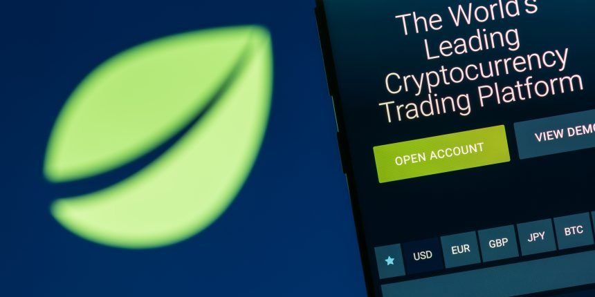 ورود صرافی رمز ارز Bitfinex به عرصه IEO ها با سرویس Tokinex