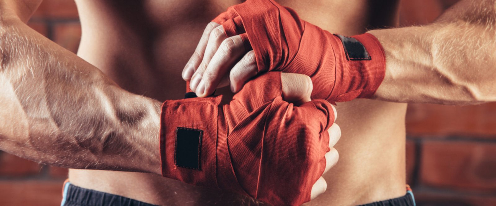 litecoin crypto kickboxer