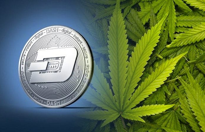 رایان تیلور از آخرین استراتژی‌های خود برای همگام‌سازی Dash با نیازهای جامعه جهانی سخن گفت.