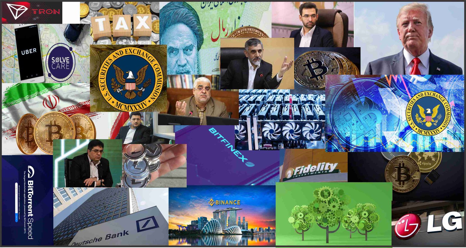 week in the image 5