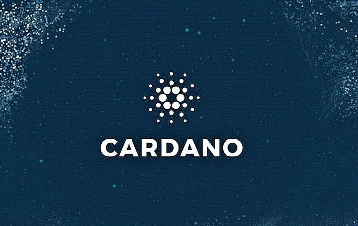 cardanologo 5bfc32b1c9e77c0026b65328
