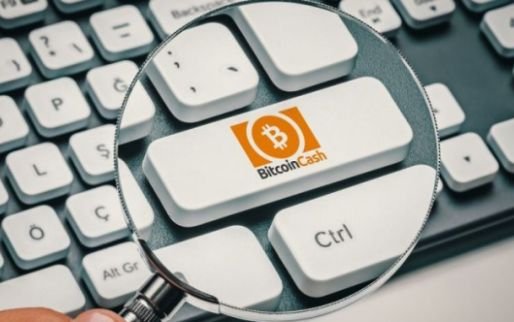توسعه دهندگان بیت کوین کش در حال ساخت اوراکل هستند