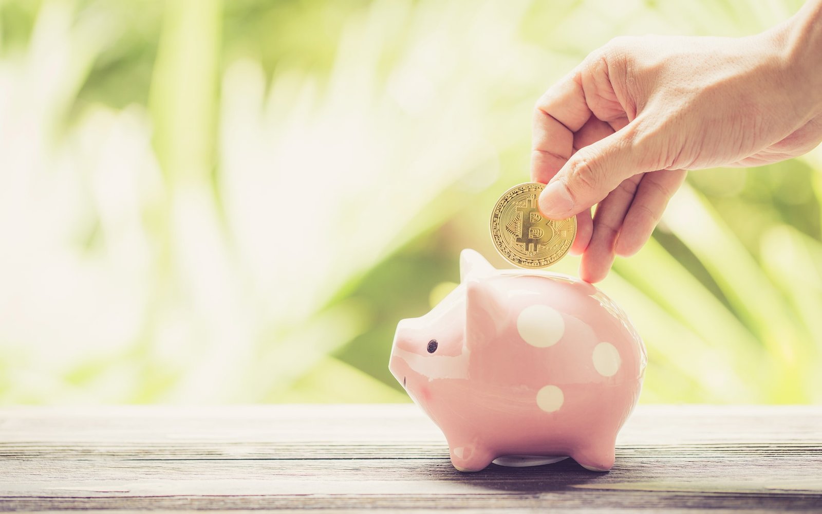 bitcoin holders profit min
