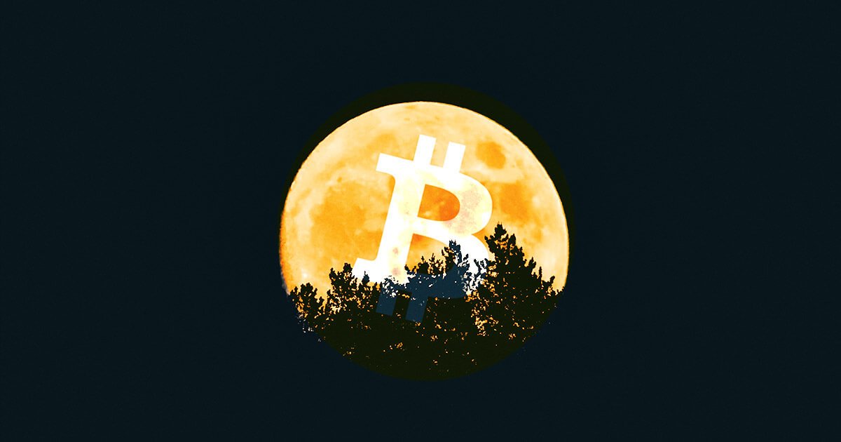 bitcoin moon social