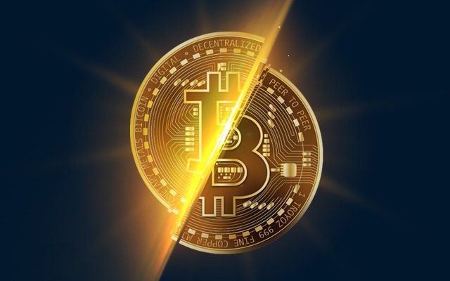 مدیرعامل بیت مین: هالوینگ بیت کوین ممکن است بازار را صعودی نکند