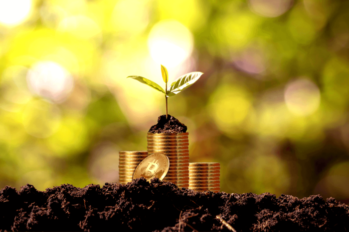 کامبک بیت‌کوین در کریسمس؟! کارشناسان پاسخ می‌دهند