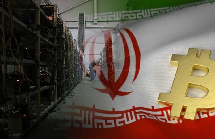 راه اندازی بزرگتریم فارم ایران در رفسنجان با سرمایه گذاری چینی‌ها