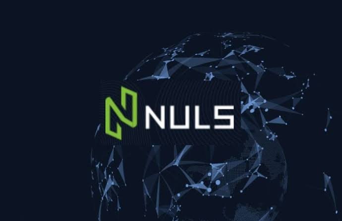 سارق توکن‌های Nuls در فروش کامل توکن‌هایش ناکام ماند