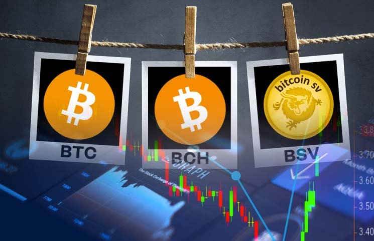 به هالوینگ Bitcoin Cash و Bitcoin SV نزدیک می‌شویم