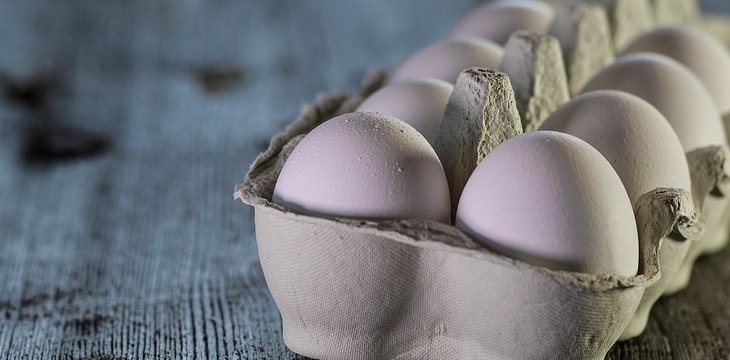 فناوری بلاک‌چین - کوین ایران
