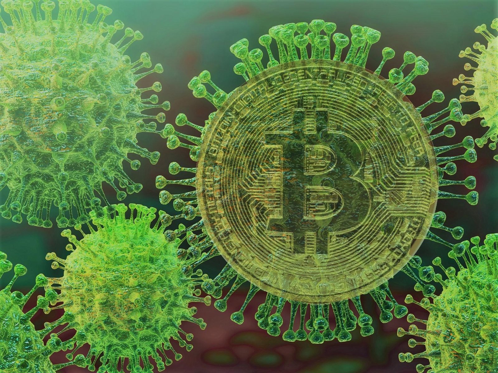 bitcoin price coronavirus