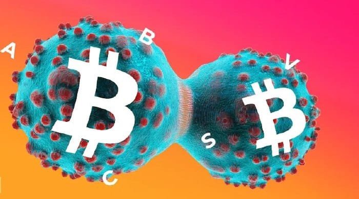 هارد فورک Bitcoin Cash و سردرگمی در جامعه کریپتو CoinIran BitcoinCashHardFork 20, مرداد 1405 هارد فورک Bitcoin Cash - کوین ایران