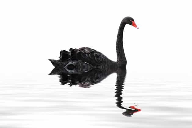 پنج‌شنبه سیاه