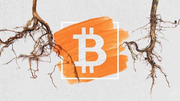 آغاز سیگنالینگ بهروزرسانی تپروت بیت کوین، آیا اجماع به زودی اتفاق میافتد؟ Bitcoin Taproot 15, مرداد 1405 تپروت کوین ایران