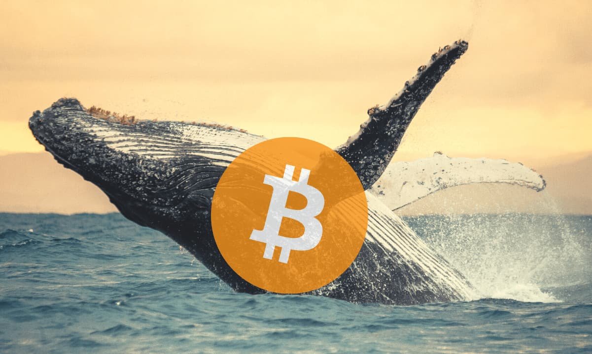 تحلیل آن‌چین on-chain