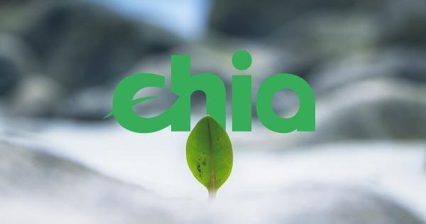 رشد 240 درصدی فروش هارددیسک درپی استخراج Chia