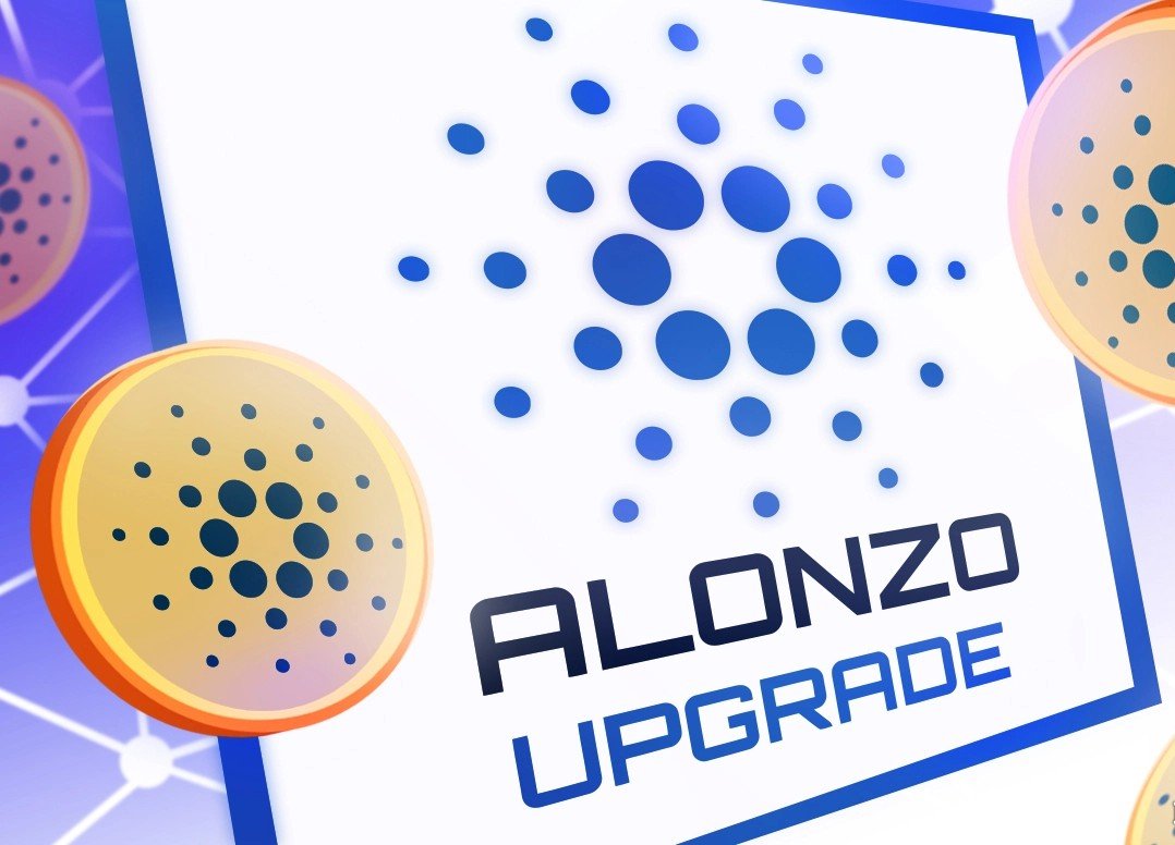 تاریخ رسمی بروزرسانی Alonzo مشخص شد، قیمت کاردانو 16 درصد افزایش یافت!