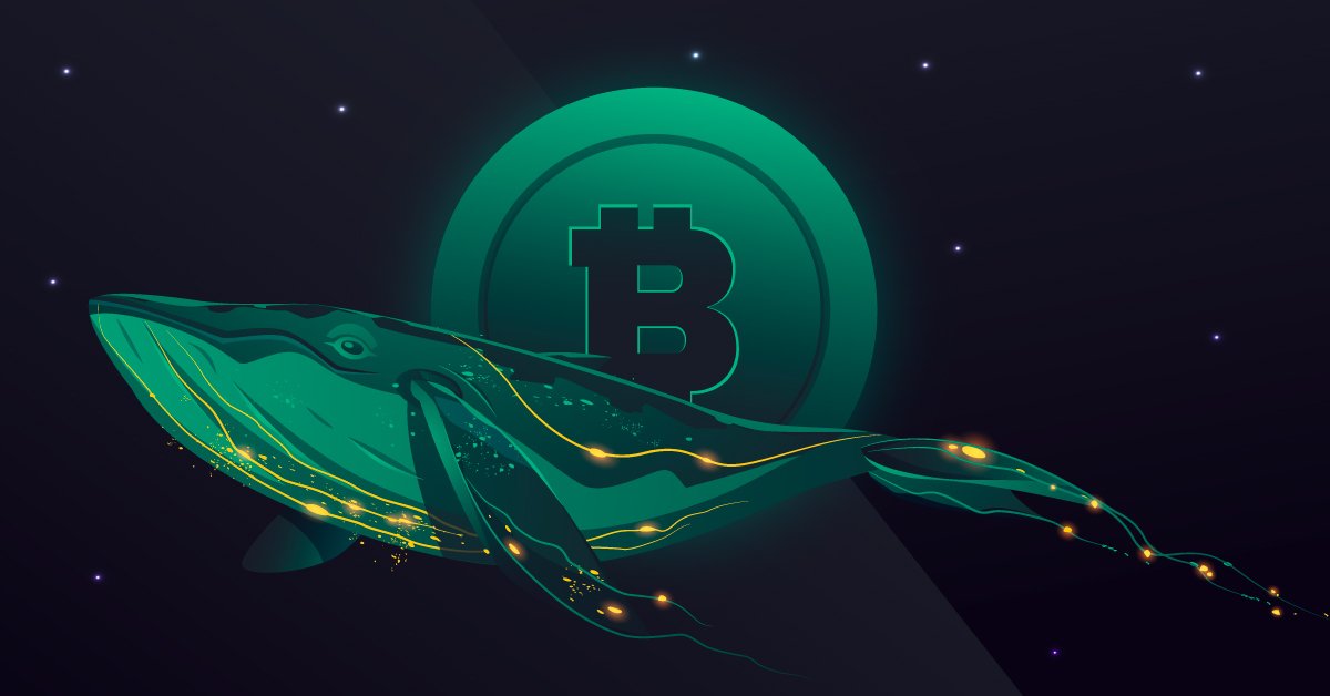 همزمان با صعود نرخ تورم در آمریکا، 1.14 میلیارد دلار توسط یک نهنگ بیت‌کوین از صرافی Coinbase خارج شد!