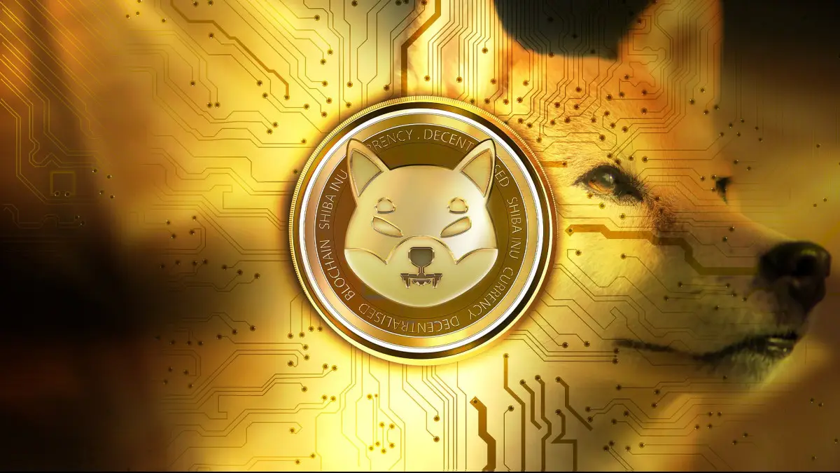 متاورس Shib: The Metaverse با بیش از 100 هزار قطعه زمین ازسوی شیبا اینو رونمایی شد!
