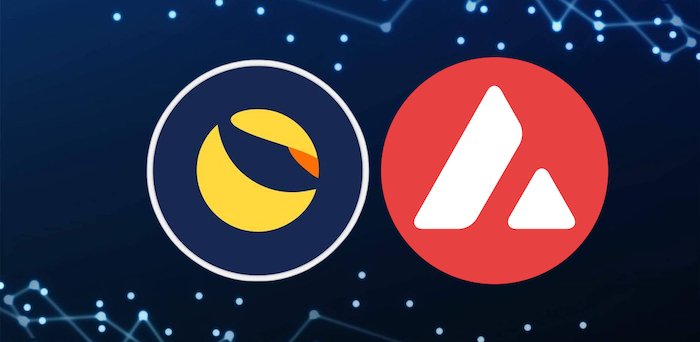 terra and avalanche join forces CoinIran