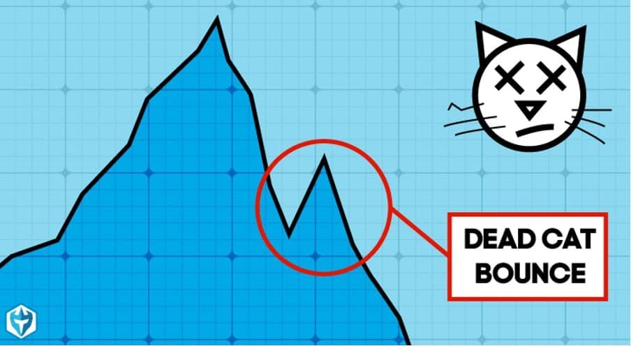 الگوی جهش گربه مرده (Dead Cat Bounce) در تحلیل تکنیکال 