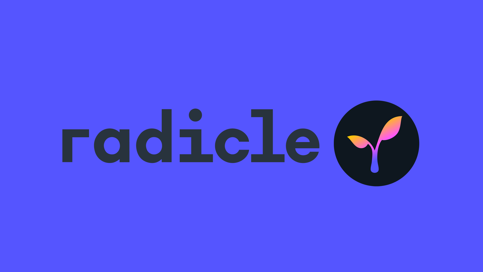 معرفی بهترین ارزهای وب3 (Web 3.0) radicle logo 13, مرداد 1405 ارزهای web 3.0