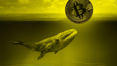 اعتماد بالا به بیتکوین، نهنگهای بیت کوین 71000 BTC دیگر خریدند! Whales are Excited to Buy the Dips CoinIran 16, مرداد 1405 نهنگ بیت کوین - کوین ایران