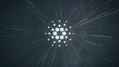رپد بیت کوین - کوین ایران