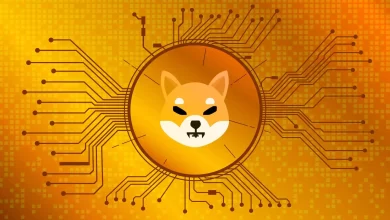 shiba inu coin scaled 1