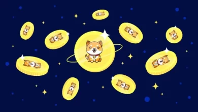 مبادلات BabyDoge - کوین ایران