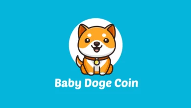 BabyDoge - کوین ایران
