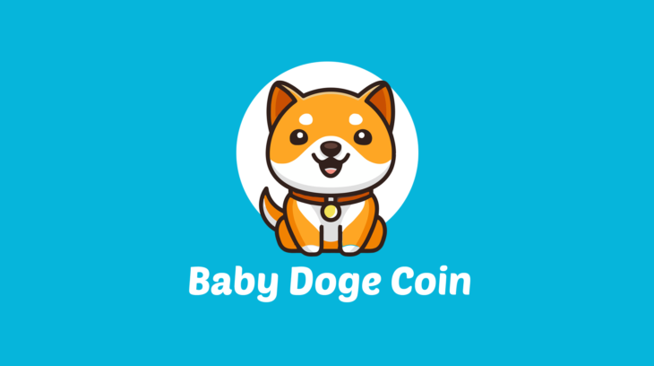 BabyDoge - کوین ایران