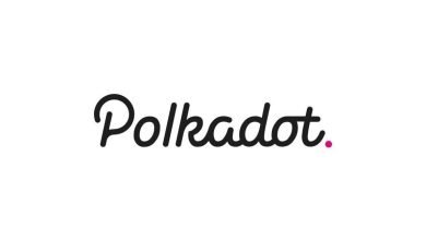 بنیانگذار پولکادات از آمادهسازی نسخه دوم این شبکه، پولکادات 2.0، خبر داد polkadot logo 16, مرداد 1405 ارائۀ کمک مالی به 400 پروژۀ پولکادات از سوی بنیاد وب3