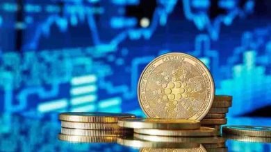 کاردانو سودهای دو رقمی - کوین ایران